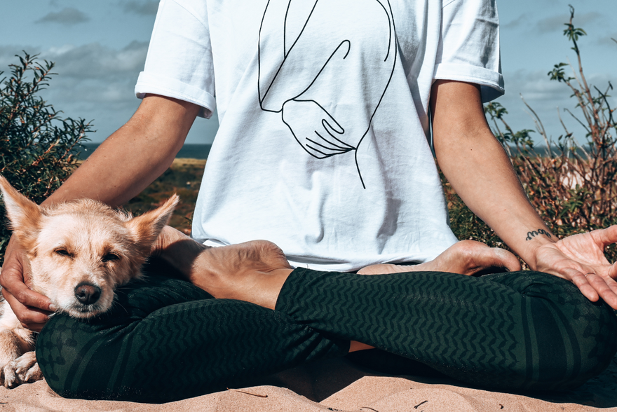 Yoga-Übungen: beliebte Asanas für Einsteiger und Fortgeschrittene