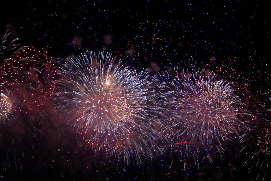 Die perfekte Silvesterparty: so feiert es sich nachhaltig und vegan